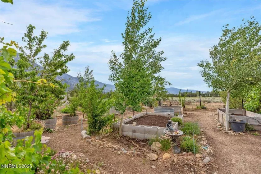 770 Parman, Gardnerville, Nevada 89460, 3 Bedrooms Bedrooms, ,3 BathroomsBathrooms,Residential,Residential,Parman,250051285