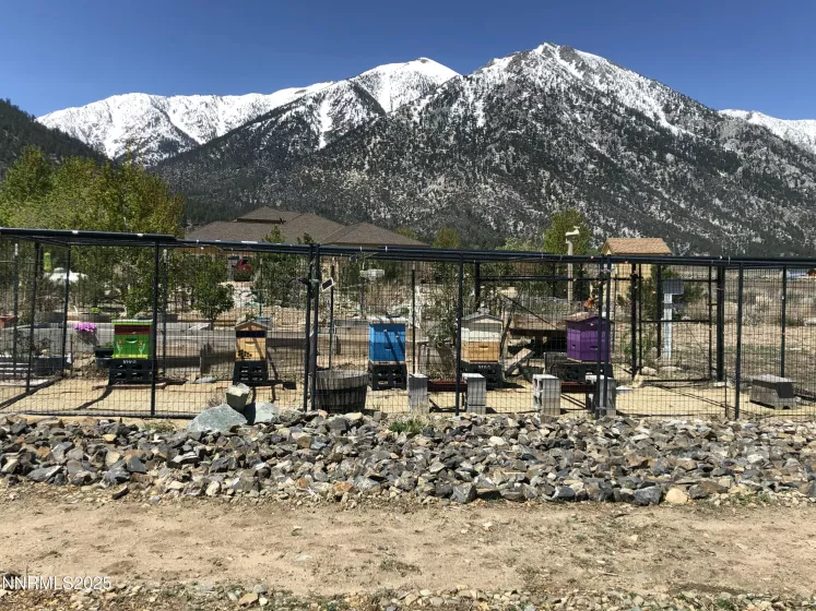 770 Parman, Gardnerville, Nevada 89460, 3 Bedrooms Bedrooms, ,3 BathroomsBathrooms,Residential,Residential,Parman,250051285