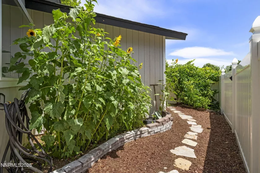 1914 Hamilton, Carson City, Nevada 89706, 3 Bedrooms Bedrooms, ,2 BathroomsBathrooms,Residential,Residential,Hamilton,250052390