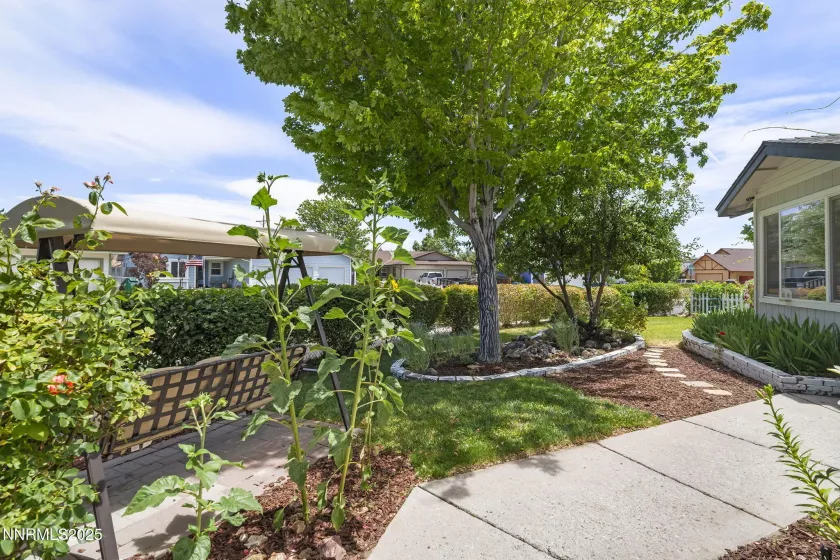 1914 Hamilton, Carson City, Nevada 89706, 3 Bedrooms Bedrooms, ,2 BathroomsBathrooms,Residential,Residential,Hamilton,250052390