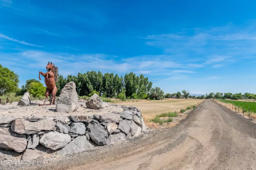 4433 Casey, Fallon, Nevada 89406, 4 Bedrooms Bedrooms, ,5 BathroomsBathrooms,Residential,Residential,Casey,250052401