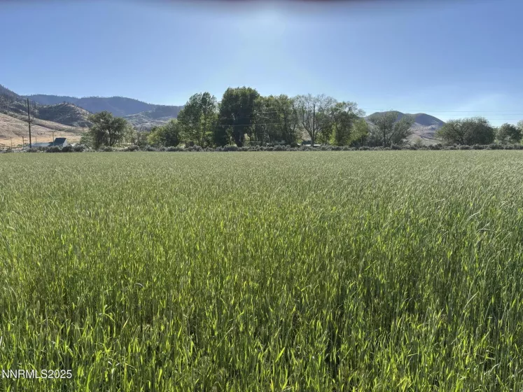 432-250 Constantia, Doyle, California 96109, 6 Bedrooms Bedrooms, ,5 BathroomsBathrooms,Farm & Ranch,Residential,Constantia,250052405