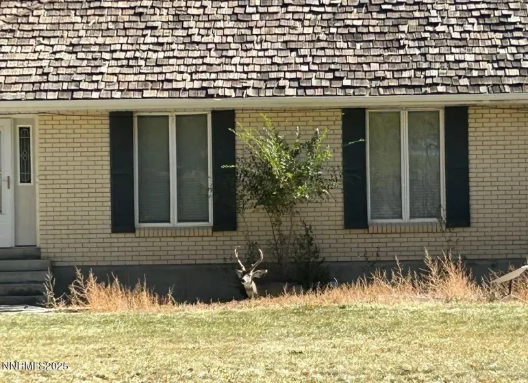 The shade of the homes and big trees is being used by Mule deer and Sage Grouse