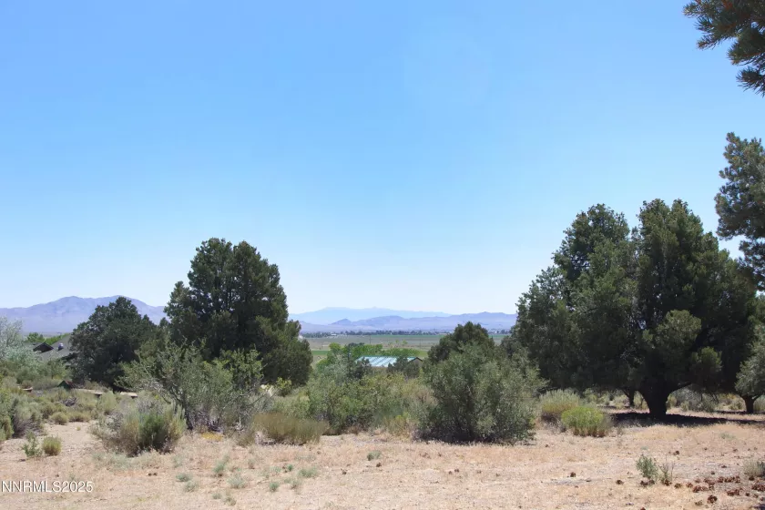 465 Upper Colony, Wellington, Nevada 89444, 2 Bedrooms Bedrooms, ,1 BathroomBathrooms,Residential,Residential,Upper Colony,250052383