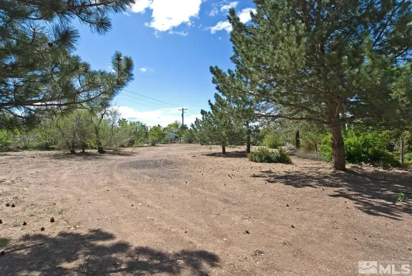 815 Kingsland, Gardnerville, Nevada 89460, 3 Bedrooms Bedrooms, ,4 BathroomsBathrooms,Residential,Residential,Kingsland,250005925
