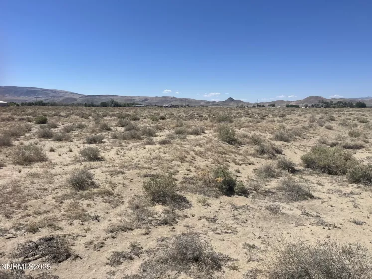 1655 Badger, Silver Springs, Nevada 89429, ,Land,Residential,Badger,250052443