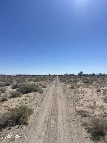 1655 Badger, Silver Springs, Nevada 89429, ,Land,Residential,Badger,250052443