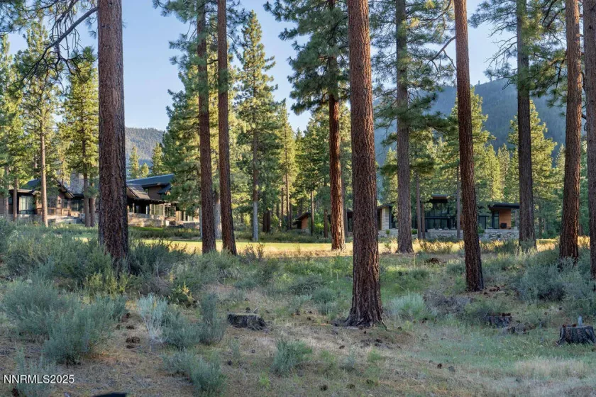 191 Cartwright, Carson City, Nevada 89705, ,Land,Residential,Cartwright,250052463