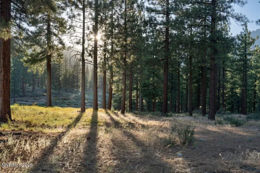 191 Cartwright, Carson City, Nevada 89705, ,Land,Residential,Cartwright,250052463