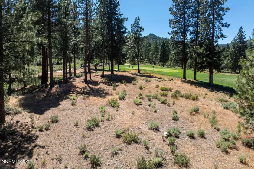 191 Cartwright, Carson City, Nevada 89705, ,Land,Residential,Cartwright,250052463