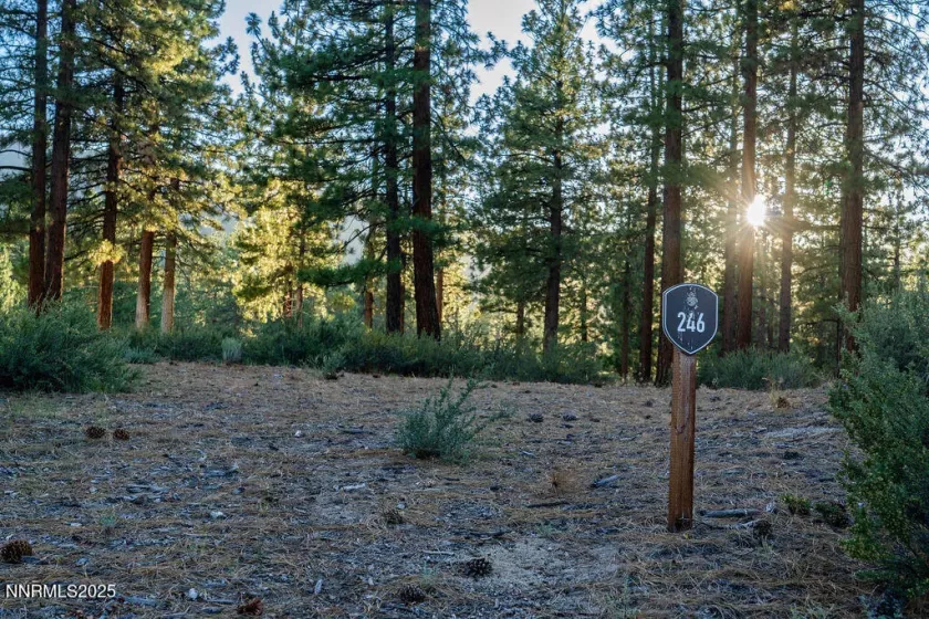 191 Cartwright, Carson City, Nevada 89705, ,Land,Residential,Cartwright,250052463