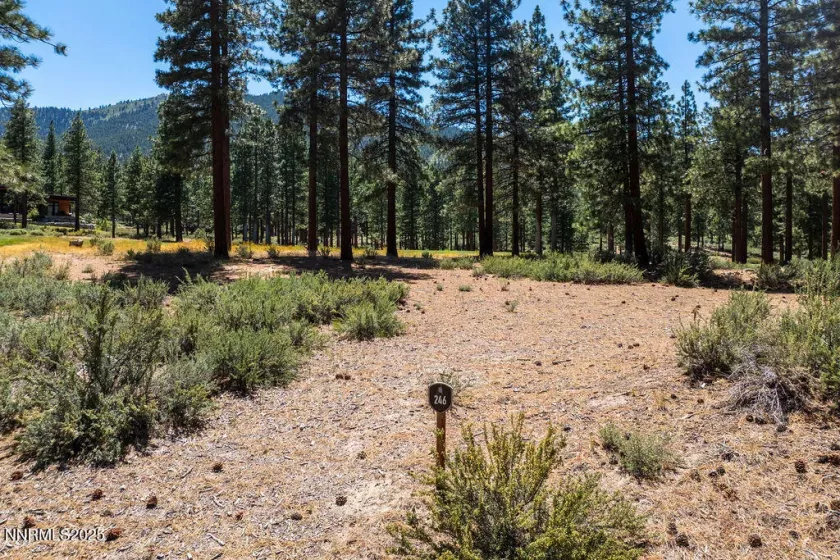191 Cartwright, Carson City, Nevada 89705, ,Land,Residential,Cartwright,250052463