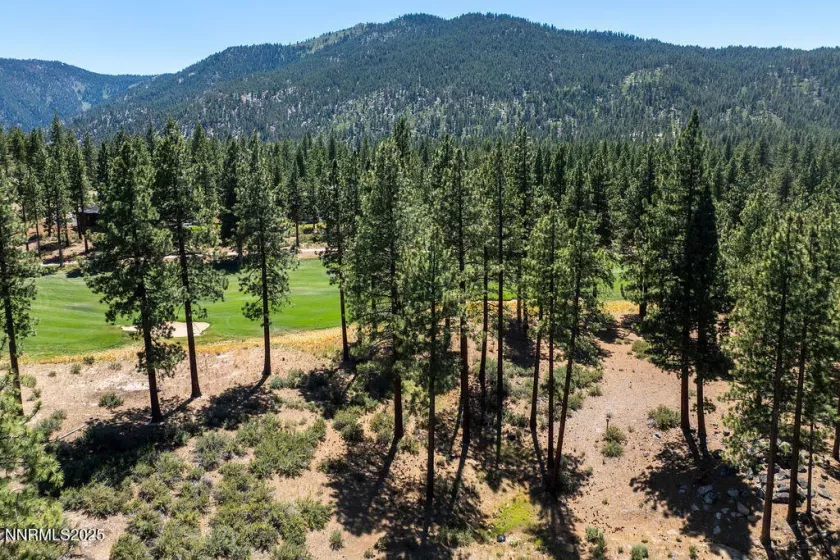 191 Cartwright, Carson City, Nevada 89705, ,Land,Residential,Cartwright,250052463