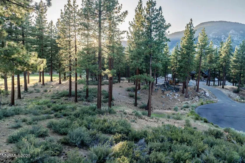 191 Cartwright, Carson City, Nevada 89705, ,Land,Residential,Cartwright,250052463