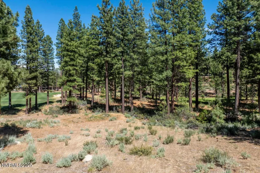 191 Cartwright, Carson City, Nevada 89705, ,Land,Residential,Cartwright,250052463