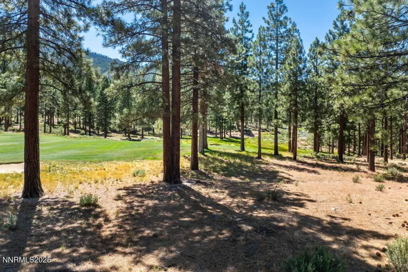191 Cartwright, Carson City, Nevada 89705, ,Land,Residential,Cartwright,250052463