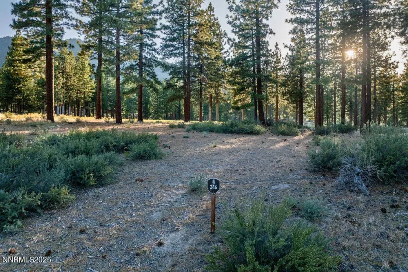 191 Cartwright, Carson City, Nevada 89705, ,Land,Residential,Cartwright,250052463