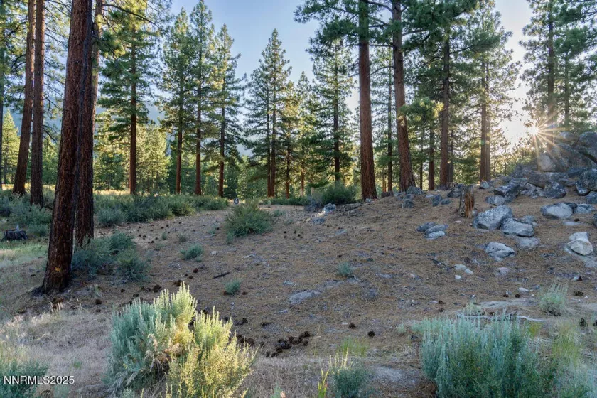 191 Cartwright, Carson City, Nevada 89705, ,Land,Residential,Cartwright,250052463