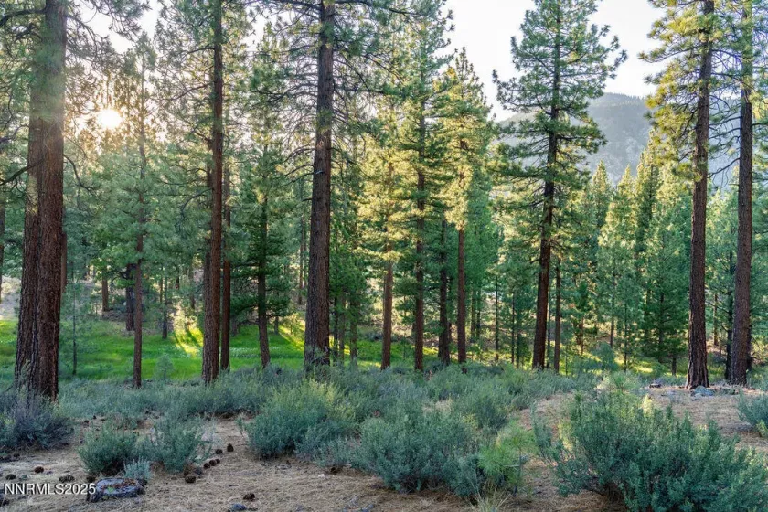 191 Cartwright, Carson City, Nevada 89705, ,Land,Residential,Cartwright,250052463