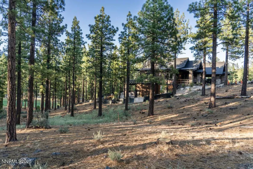 191 Cartwright, Carson City, Nevada 89705, ,Land,Residential,Cartwright,250052463