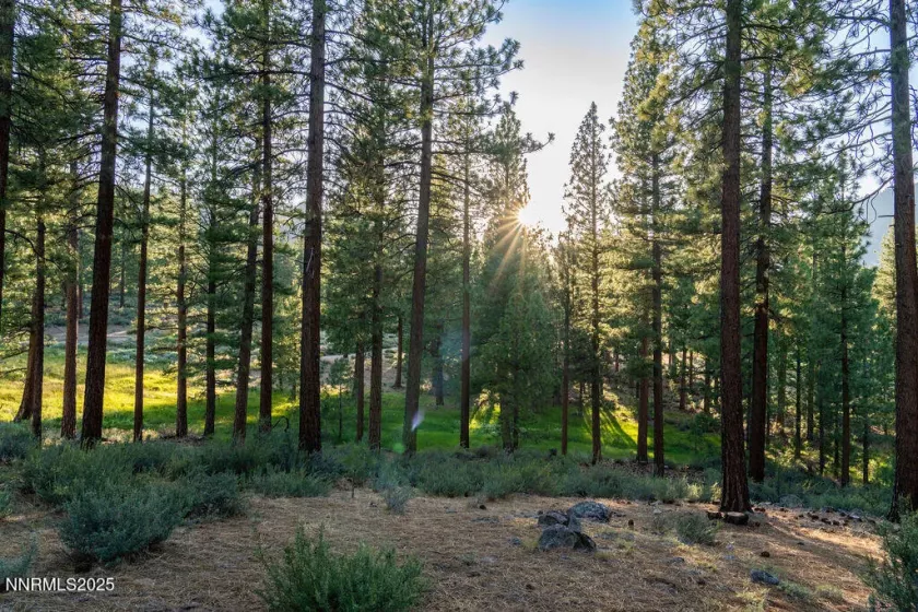191 Cartwright, Carson City, Nevada 89705, ,Land,Residential,Cartwright,250052463