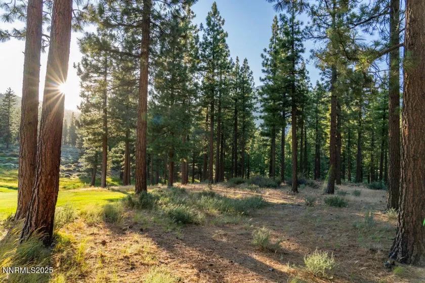 191 Cartwright, Carson City, Nevada 89705, ,Land,Residential,Cartwright,250052463