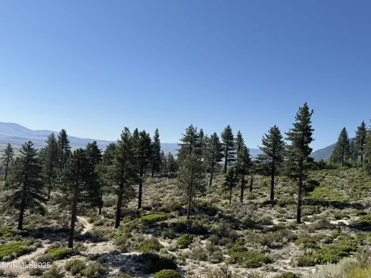 TBD Kingsbury Grade, Gardnerville, Nevada 89460, ,Land,Residential,Kingsbury Grade,250052486