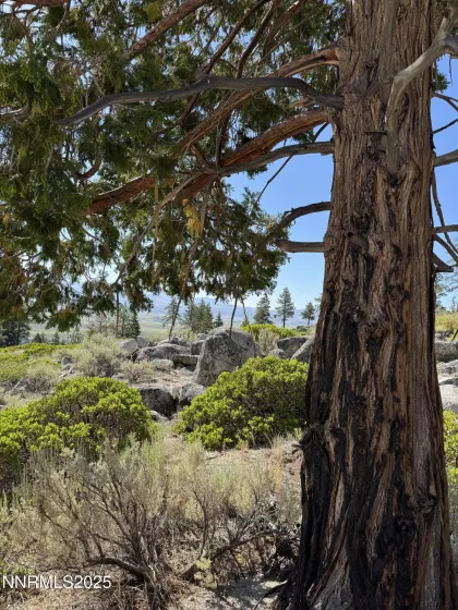 TBD Kingsbury Grade, Gardnerville, Nevada 89460, ,Land,Residential,Kingsbury Grade,250052486