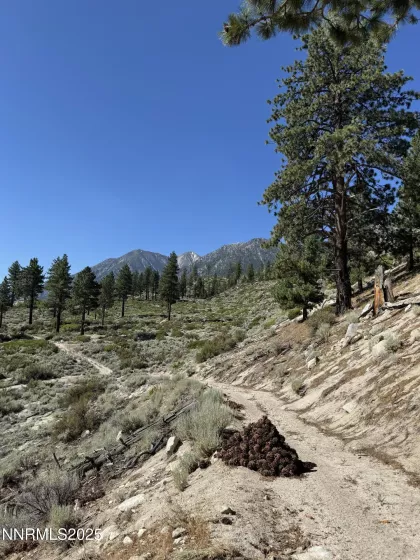 TBD Kingsbury Grade, Gardnerville, Nevada 89460, ,Land,Residential,Kingsbury Grade,250052486