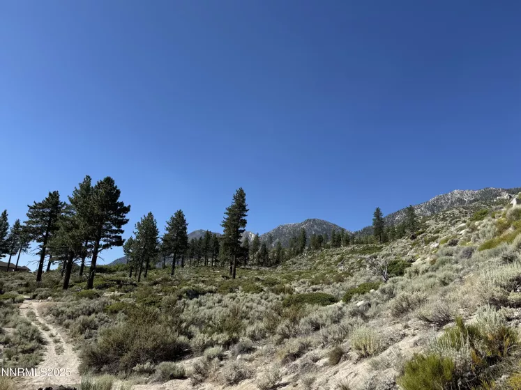 TBD Kingsbury Grade, Gardnerville, Nevada 89460, ,Land,Residential,Kingsbury Grade,250052486