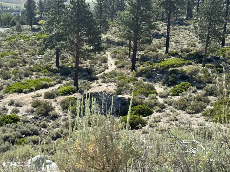 TBD Kingsbury Grade, Gardnerville, Nevada 89460, ,Land,Residential,Kingsbury Grade,250052486