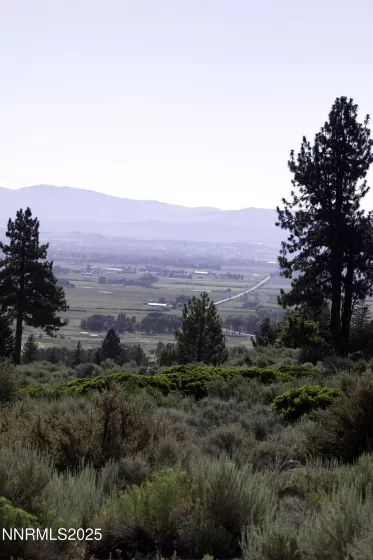 TBD Kingsbury Grade, Gardnerville, Nevada 89460, ,Land,Residential,Kingsbury Grade,250052486