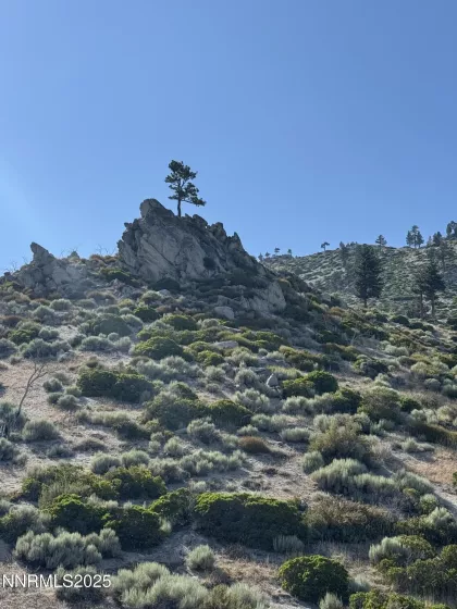 TBD Kingsbury Grade, Gardnerville, Nevada 89460, ,Land,Residential,Kingsbury Grade,250052486