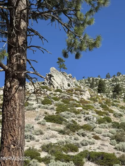 TBD Kingsbury Grade, Gardnerville, Nevada 89460, ,Land,Residential,Kingsbury Grade,250052486