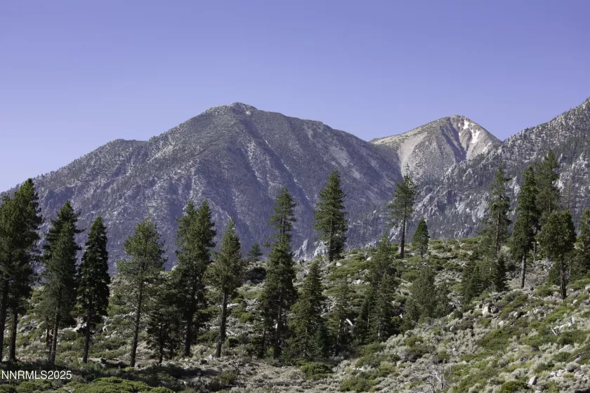 TBD Kingsbury Grade, Gardnerville, Nevada 89460, ,Land,Residential,Kingsbury Grade,250052486