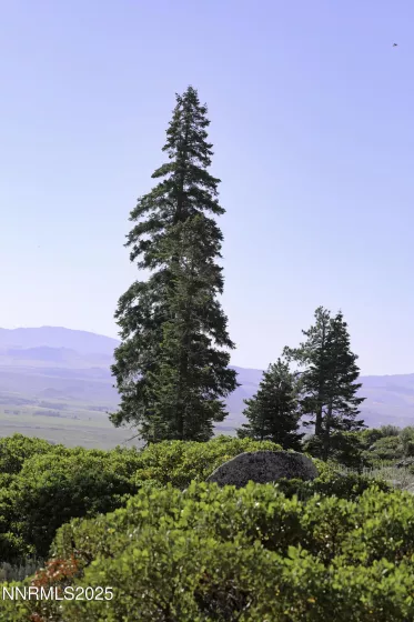 TBD Kingsbury Grade, Gardnerville, Nevada 89460, ,Land,Residential,Kingsbury Grade,250052486