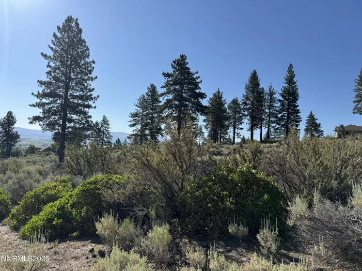 TBD Kingsbury Grade, Gardnerville, Nevada 89460, ,Land,Residential,Kingsbury Grade,250052486