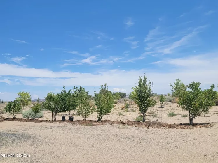 9850 Via Camino, Silver Springs, Nevada 89429, ,Land,Residential,Via Camino,250052492