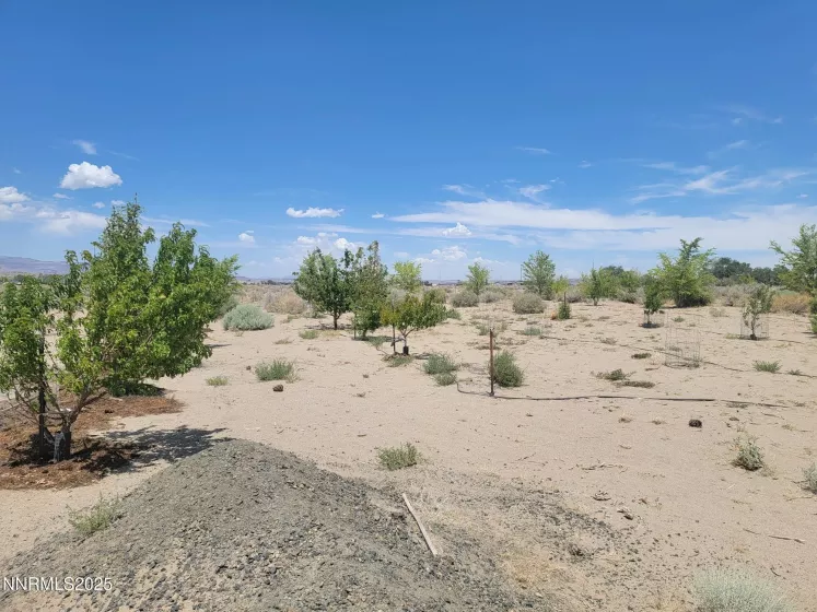 9850 Via Camino, Silver Springs, Nevada 89429, ,Land,Residential,Via Camino,250052492
