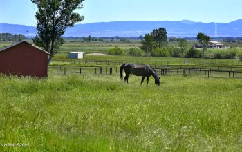 775 Foothill, Gardnerville, Nevada 89460, 7 Bedrooms Bedrooms, ,7 BathroomsBathrooms,Residential,Residential,Foothill,250052491