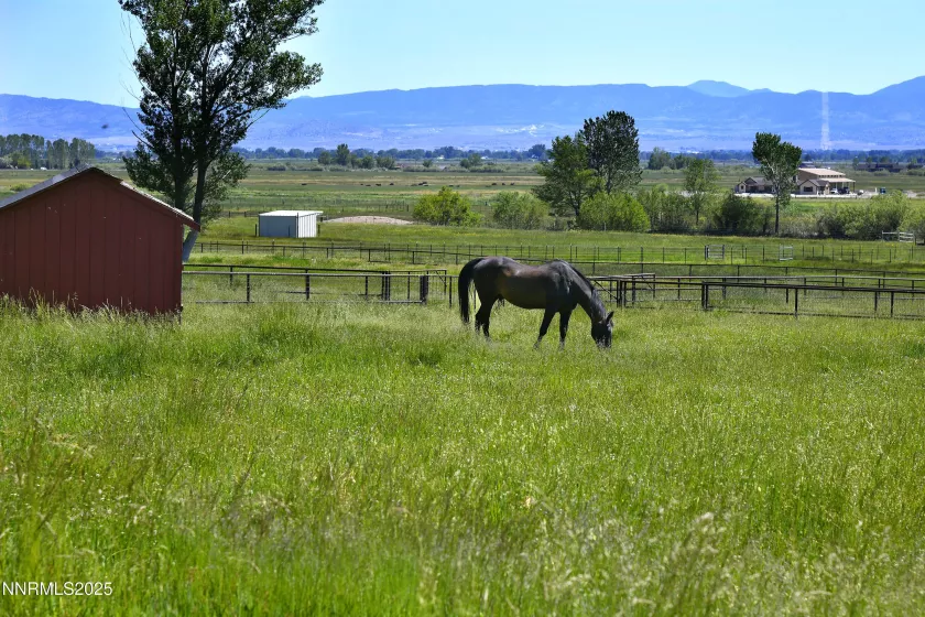 775 Foothill, Gardnerville, Nevada 89460, 7 Bedrooms Bedrooms, ,7 BathroomsBathrooms,Residential,Residential,Foothill,250052491