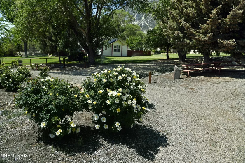 775 Foothill, Gardnerville, Nevada 89460, 7 Bedrooms Bedrooms, ,7 BathroomsBathrooms,Residential,Residential,Foothill,250052491