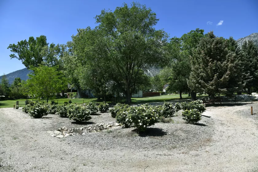 775 Foothill, Gardnerville, Nevada 89460, 7 Bedrooms Bedrooms, ,7 BathroomsBathrooms,Residential,Residential,Foothill,250052491