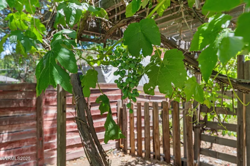 1905 Von, Reno, Nevada 89509, 3 Bedrooms Bedrooms, ,3 BathroomsBathrooms,Residential,Residential,Von,250052526
