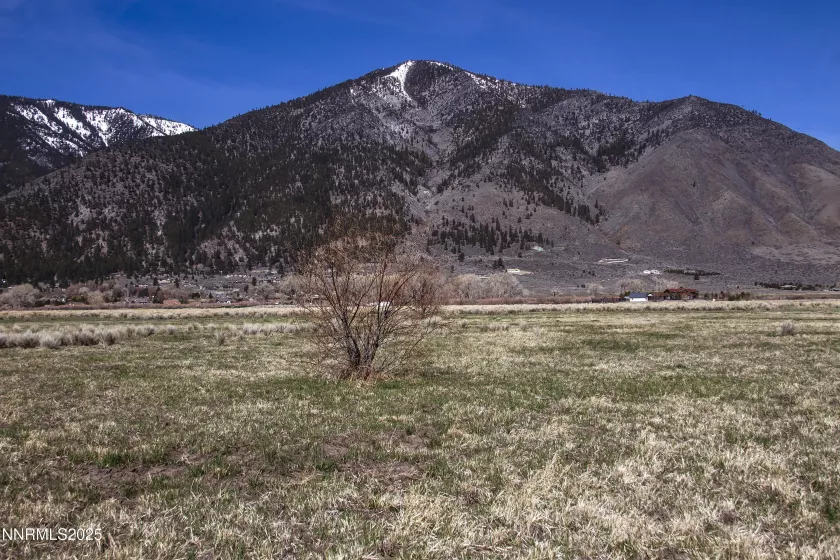 004 Deerhaven, Genoa, Nevada 89411, ,Land,Residential,Deerhaven,250052521