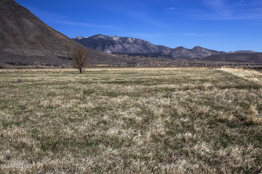 004 Deerhaven, Genoa, Nevada 89411, ,Land,Residential,Deerhaven,250052521