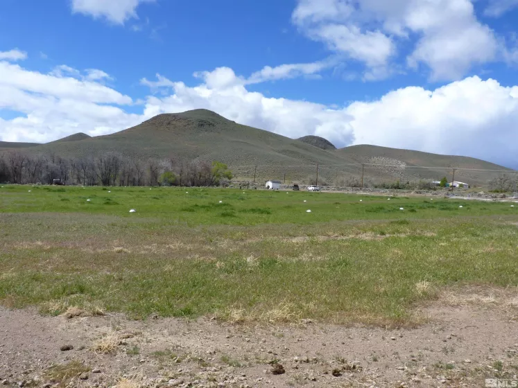 10 Lower Colony, Wellington, Nevada 89444, ,Land,Residential,Lower Colony,240004660