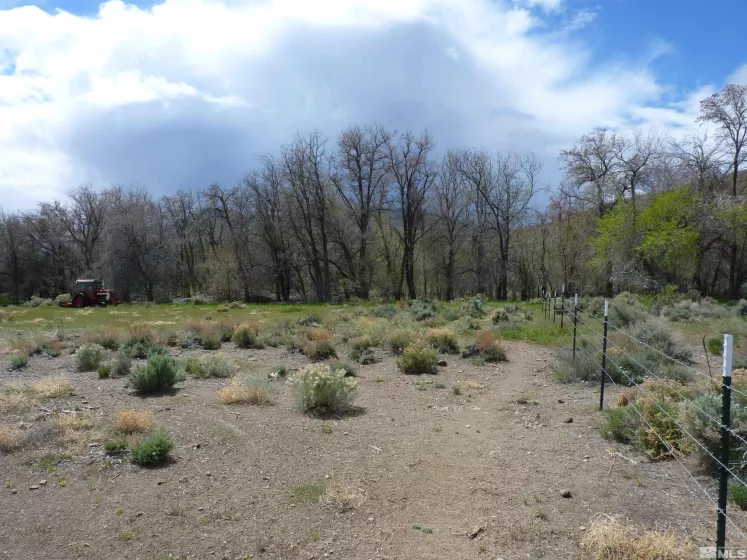 10 Lower Colony, Wellington, Nevada 89444, ,Land,Residential,Lower Colony,240004660