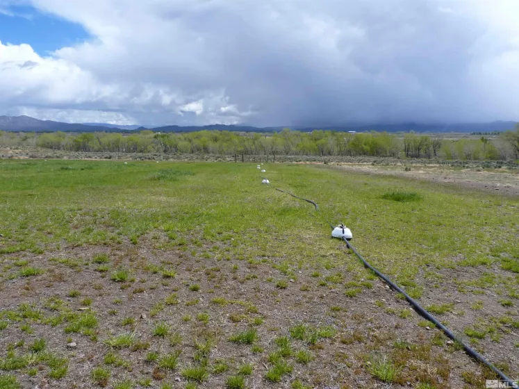 10 Lower Colony, Wellington, Nevada 89444, ,Land,Residential,Lower Colony,240004660