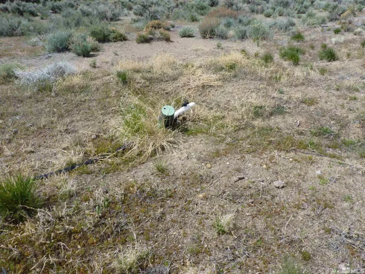 10 Lower Colony, Wellington, Nevada 89444, ,Land,Residential,Lower Colony,240004660